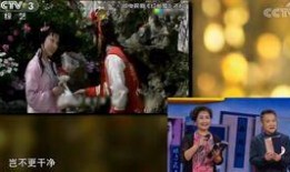 陈力爆料欧阳奋强视频,揭秘娱乐圈不为人知的一面